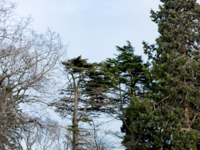 Daniel Alexander Glasgow  and Emma Louise Glasgow 's Wedding in Edinburgh, Lothian &amp; Borders 6