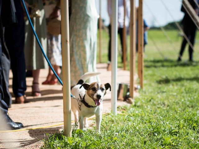 Ollie and Polly&apos;s Wedding in Malmesbury, Wiltshire 64