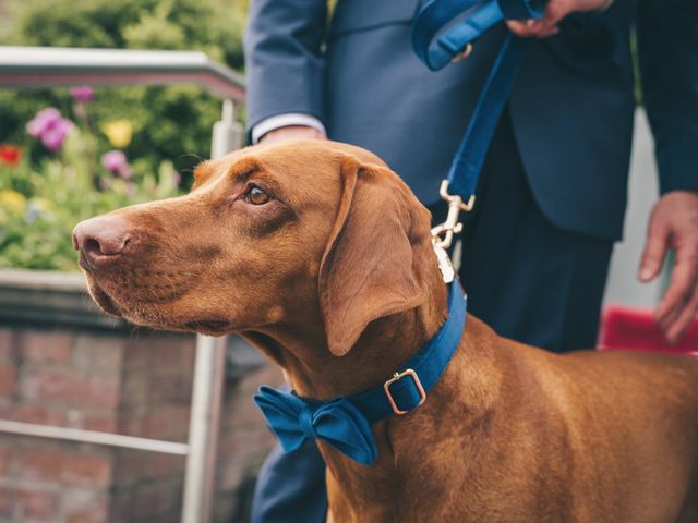 Peter and Sarah&apos;s Wedding in Rossett, Wrexham 29