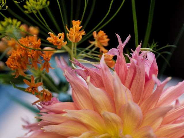 Dan and Emily's Wedding in Walthamstow, South West London 63