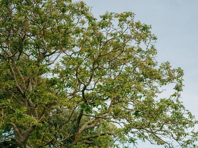 Andy and Anita&apos;s Wedding in West Parley, Dorset 29