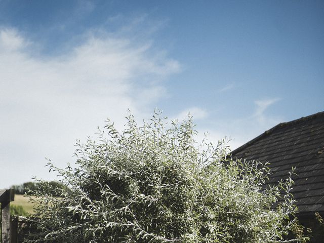 Tom and Daisy&apos;s Wedding in Chichester, West Sussex 5