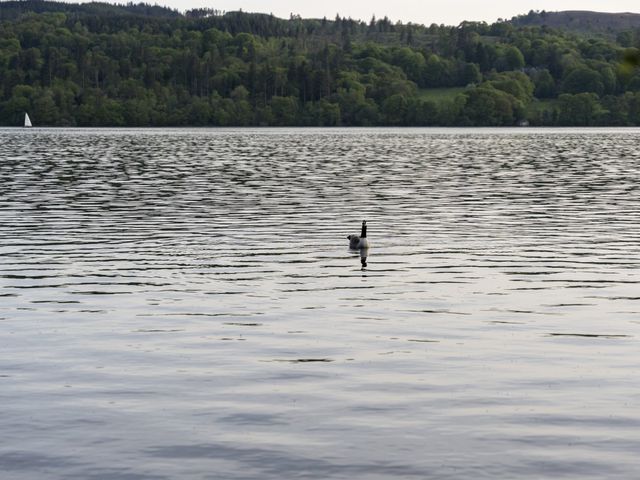 Joseph and Martha&apos;s Wedding in Windermere, Cumbria 43