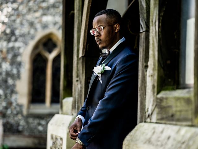 bova and adeola&apos;s Wedding in Hatfield, Hertfordshire 9