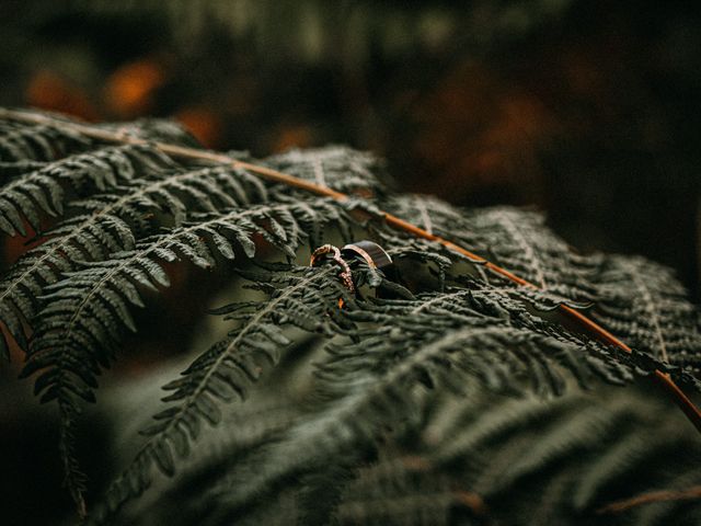 Ryan and Milly's Wedding in Claverley, Shropshire 98