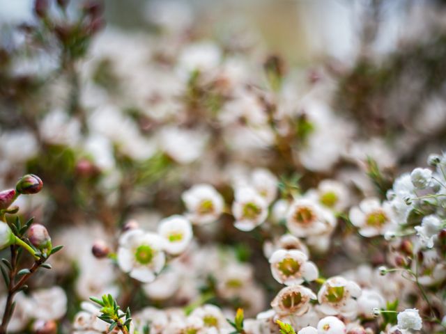 Nathan and Charlotte's Wedding in Ipswich, Suffolk 110