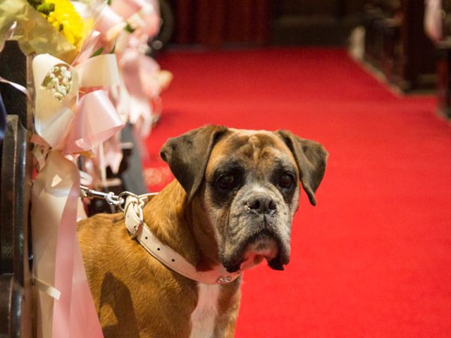 Steven and Devon&apos;s Wedding in Barnsley, South Yorkshire 13