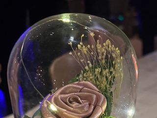 Samantha  &amp; Thomas's wedding 2