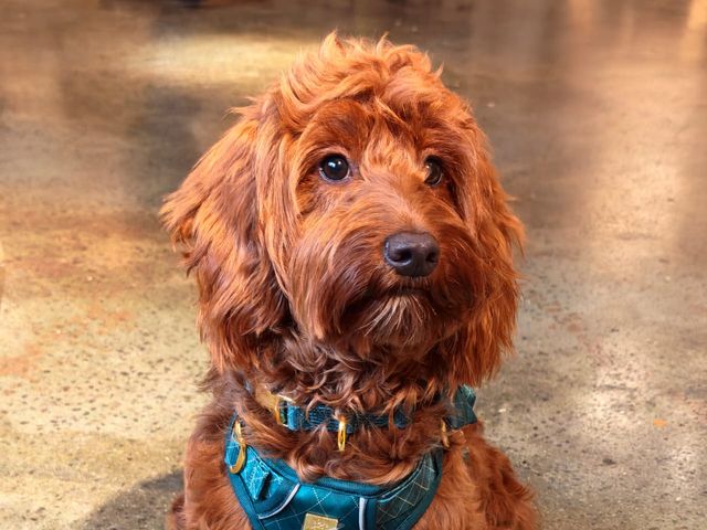 Thomas and Samantha 's Wedding in Darlington, Durham 3