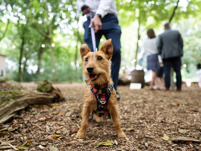 Will and Alice's Wedding in Tring, Hertfordshire 15