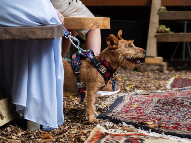 Will and Alice's Wedding in Tring, Hertfordshire 28