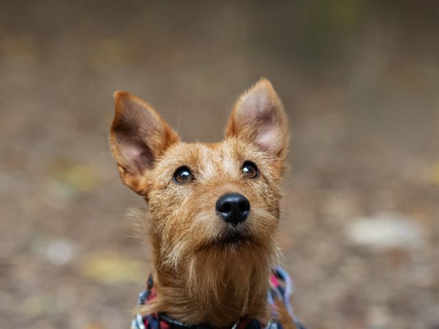 Will and Alice's Wedding in Tring, Hertfordshire 72