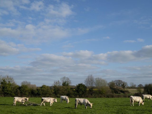 Nathan and Megan's Wedding in Swanton Morley, Norfolk 40