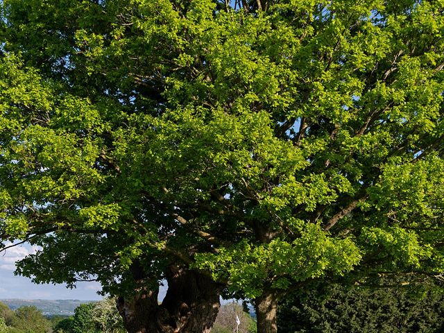 James and Natasha&apos;s Wedding in Tewkesbury, Gloucestershire 515