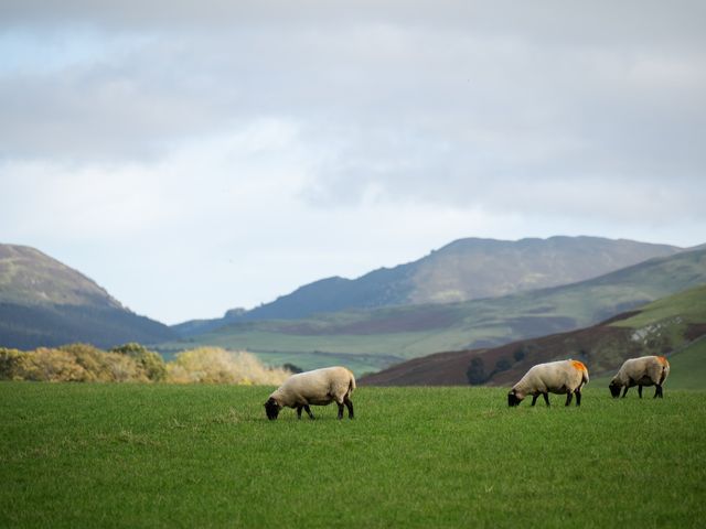 Will and Rosie's Wedding in Cockermouth, Cumbria 104
