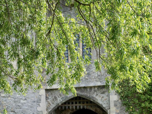 Ron and Tasha&apos;s Wedding in Maidstone, Kent 17