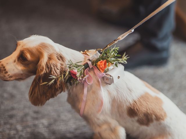 Brad and Tabatha&apos;s Wedding in Newquay, Cornwall 14