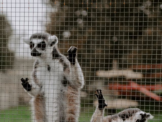 Joe and Zoe's Wedding in Ipswich, Suffolk 26