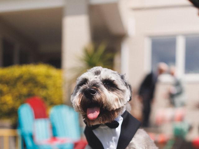 Harry and Emilly's Wedding in Cowbridge, Vale Of Glamorgan 23