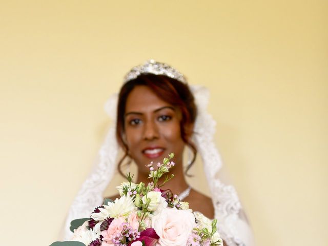 Michael and Prema&apos;s Wedding in Rochford, Essex 23