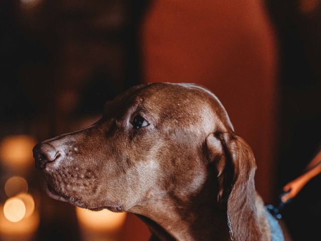 Lewis and Jess's Wedding in Ashbourne, Derbyshire 101