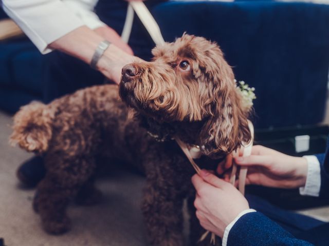 Huw and Emma's Wedding in Wales, Monmouthshire 11