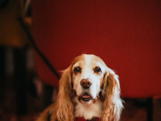 Scott and Ruth's Wedding in Morpeth, Northumberland 25