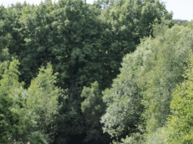 Gordon  and Kara's Wedding in Tunbridge Wells, Kent 8