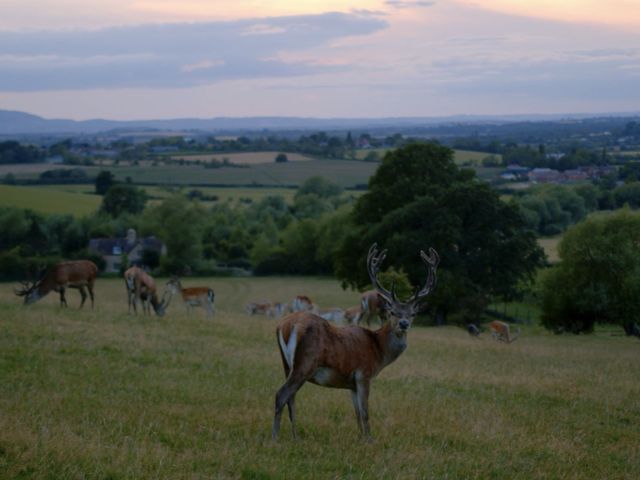 Pippa and Zac&apos;s Wedding in Pershore, Worcestershire 18