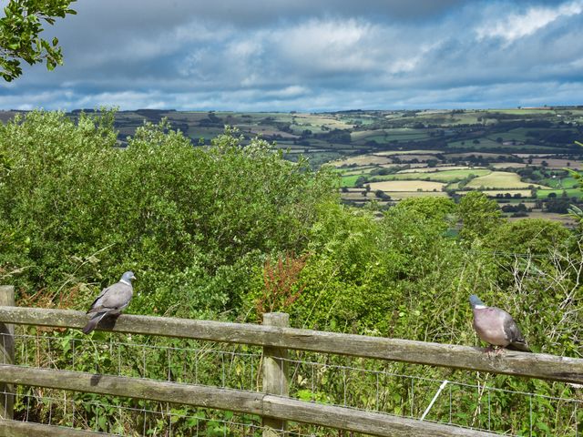 Hayden and Abigail's Wedding in Wales, Monmouthshire 6