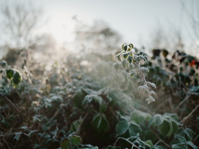 Alex and Karen's Wedding in Farnham, Surrey 4