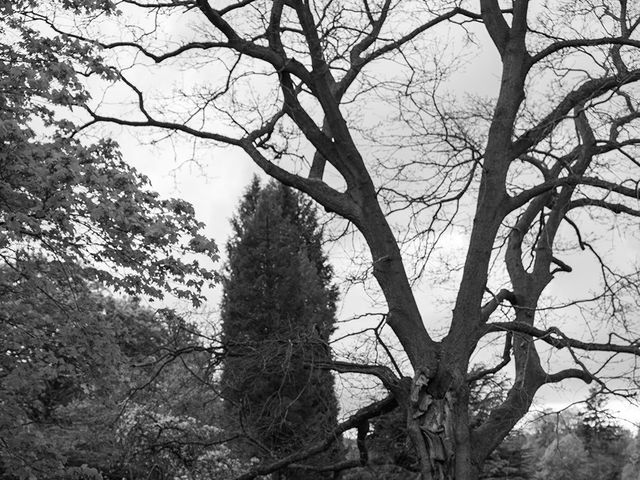 Jack and Lauren's Wedding in Beamish, Durham 193