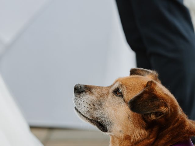 Charlie and Holly's Wedding in West Sussex, West Sussex 41