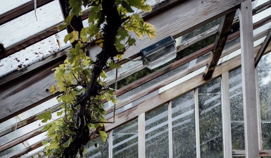 Nina  and Joel 's Wedding in Cumberland, Cumbria