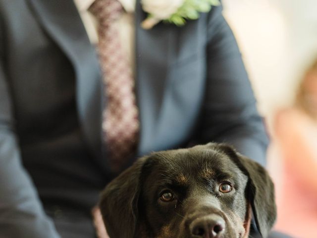 Ricky and Sumeta's Wedding in Bristol City, Bristol 6