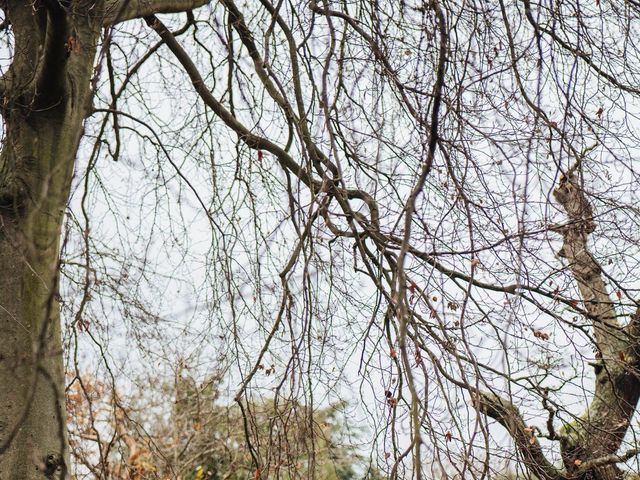 Evgenyi and Olga's Wedding in London - South East, South East London 29