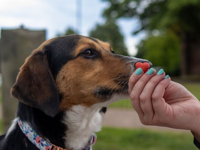 Shaun and Laura's Wedding in Rotherham, South Yorkshire 28