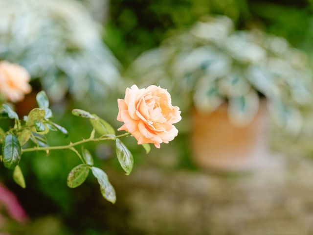 Jack and Josephine's Wedding in Stroud, Gloucestershire 42