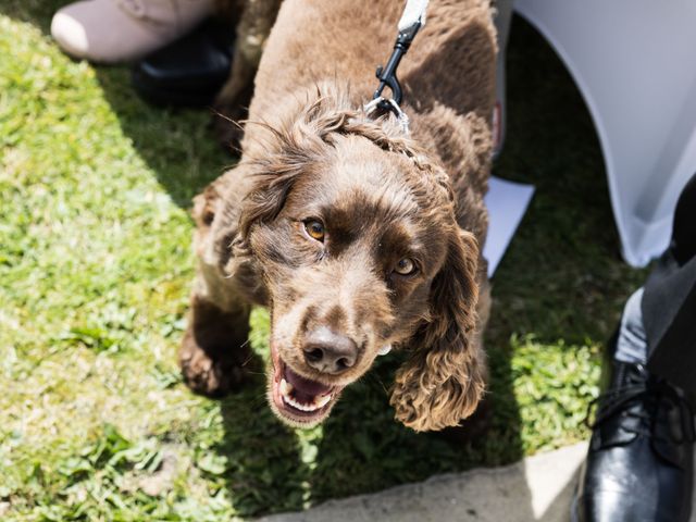 Dan and Beth&apos;s Wedding in Alfriston, East Sussex 11