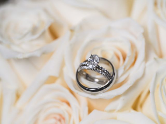 Dan and Sophie's Wedding in Alton, Hampshire 7