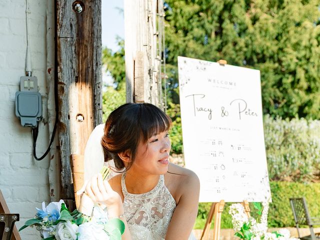 Tracy and Peter's Wedding in Reading, Berkshire 15