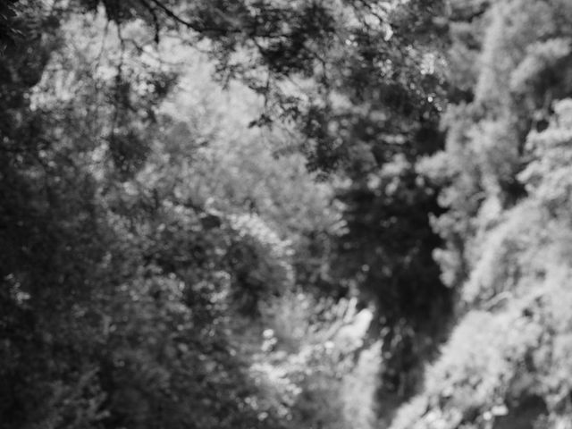 Ayeisha and Amy's Wedding in Wadebridge, Cornwall 27