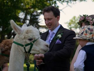 James &amp; Natalie's wedding 3