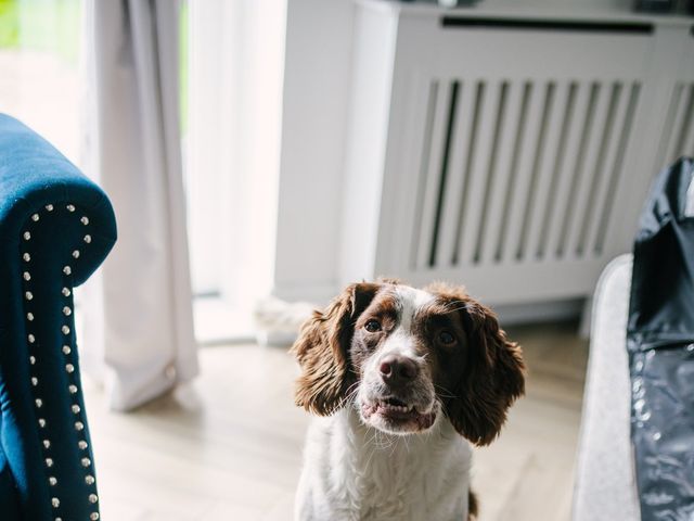 Emily and Kieran's Wedding in Swansea Valley, Powys 19