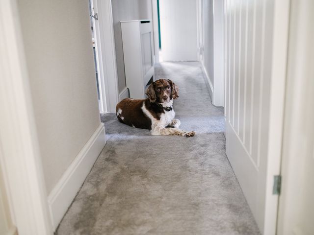 Emily and Kieran's Wedding in Swansea Valley, Powys 24