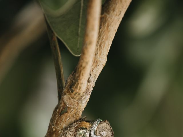 Hayley and Ashley's Wedding in Salisbury, Wiltshire 9