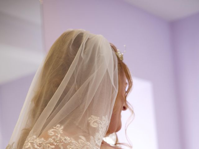 Alex and Nicolle's Wedding in Shrewsbury, Shropshire 7