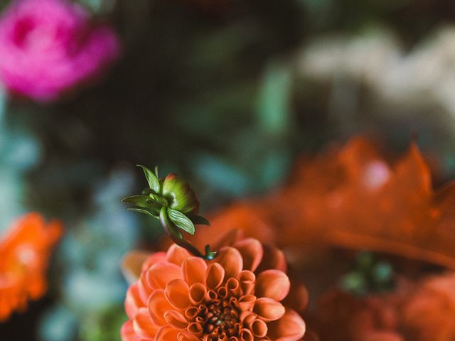 Luke and Wendy's Wedding in Wolverhampton, West Midlands 17