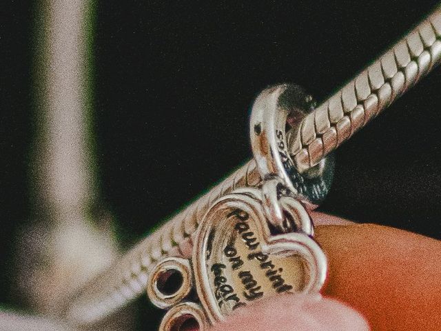 Luke and Wendy's Wedding in Wolverhampton, West Midlands 46