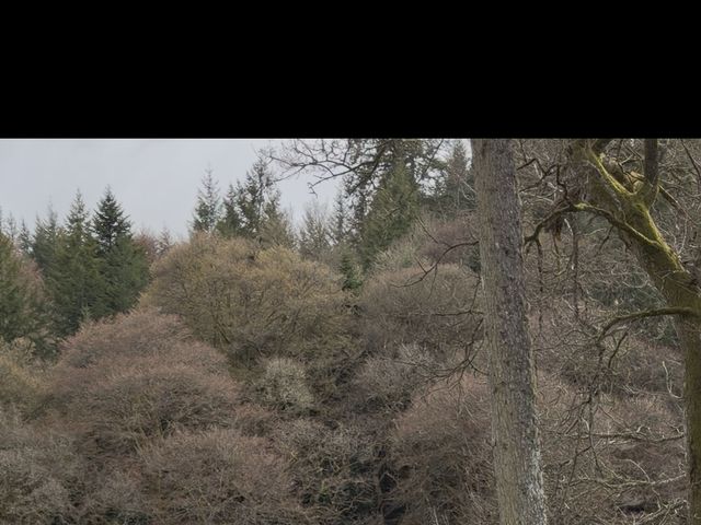 Emilio and Megan's Wedding in Dunkeld, Perthshire 3
